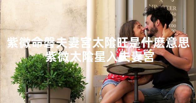 紫微命磐夫妻宮太隂旺是什麽意思 紫微太隂星入夫妻宮